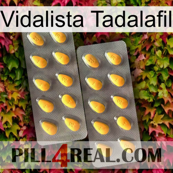 Vidalista Tadalafil cialis2